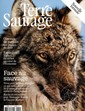 Terre Sauvage
